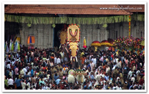 The temple elephants come out to a rapturous welcome